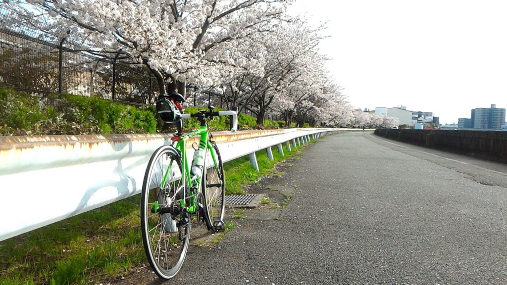 桜が楽しみな時期になりました